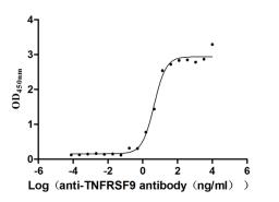 The Binding Activity of TNFRSF9 with anti-TNFRSF9 antibody. Activity: Measured by its binding ability in a functional ELISA. Immobilized TNFRSF9（CSB-MP023984HU1） at 2 μg/mL can bind Anti-TNFRSF9 antibody, the EC<sub>50</sub> is 3.501-5.854 ng/mL.