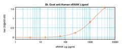 To detect hsRANKL by sandwich ELISA (using 100 ul/well antibody solution) a concentration of 0.25 – 1.0 ug/ml of this antibody is required. This biotinylated polyclonal antibody, in conjunction with ProSci’s Polyclonal Anti-Human sRANKL (XP-5274) as a cap