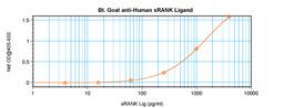 To detect hsRANKL by sandwich ELISA (using 100 ul/well antibody solution) a concentration of 0.25 – 1.0 ug/ml of this antibody is required. This biotinylated polyclonal antibody, in conjunction with ProSci’s Polyclonal Anti-Human sRANKL (XP-5274) as a cap