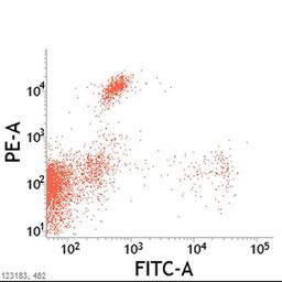 Cat lymphocytes stained with Mouse anti Cat CD8:Alpha/Beta 