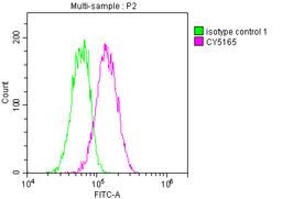 Overlay histogram showing Hela cells stained with CSB-RA546821A0HU (red line) at 1:50. The cells were fixed with 70% Ethylalcohol (18h) and then incubated in 10% normal goat serum to block non-specific protein-protein interactions followedby the antibody (1µg/1*10<sup>6</sup> cells) for 1 h at 4℃.The secondary antibody used was FITC-conjugated goat anti-rabbit IgG (H+L) at 1/200 dilution for 30min at 4℃. Control antibody (green line) was Rabbit IgG (1µg/1*10<sup>6</sup> cells) used under the same conditions. Acquisition of >10,000 events was performed.
