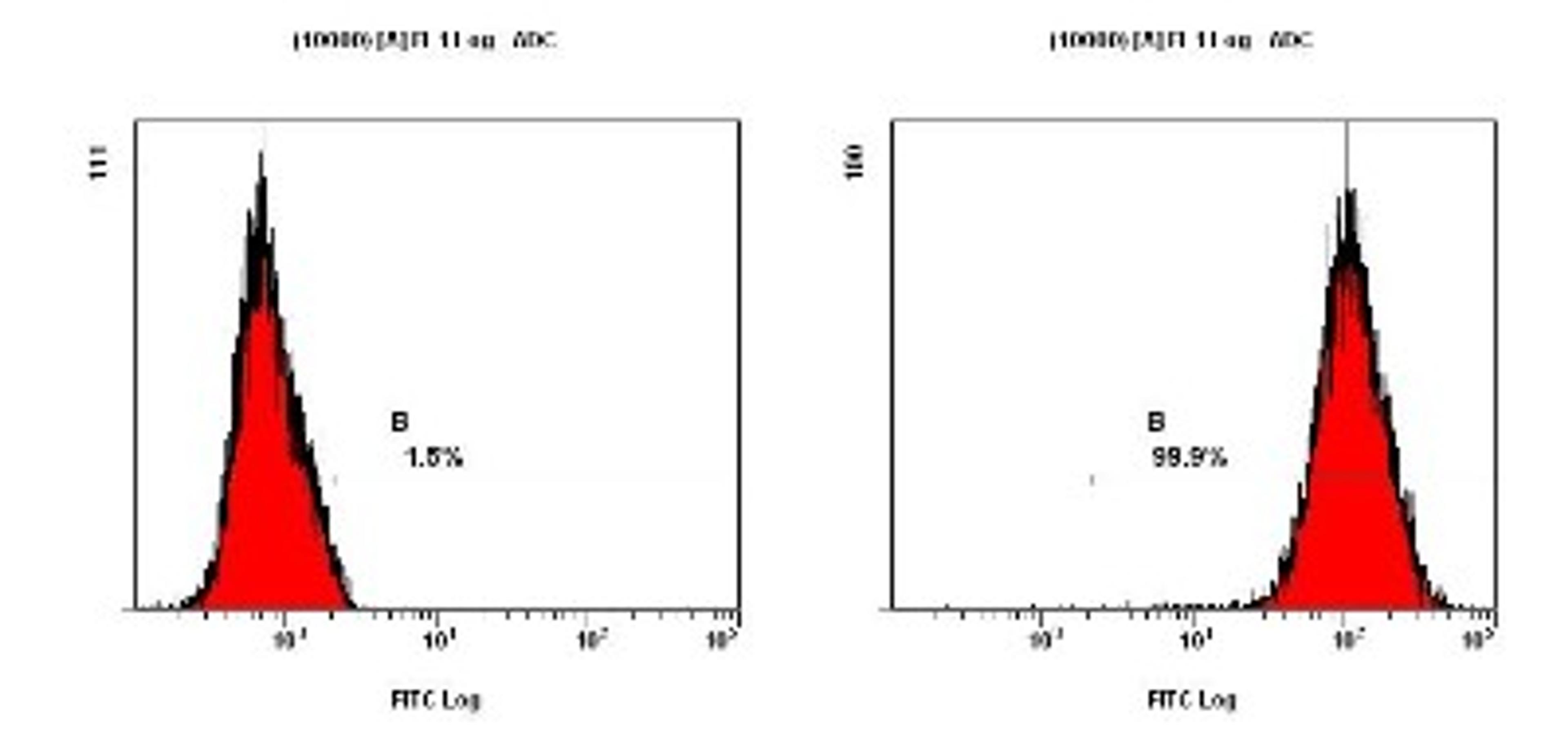 Flow Cytometry: Survivin Antibody (60.11) [NB500-205] - Staining of NTERA-2 cells using NB500-205 at a 1:2000 dilution detected using Dylight-488 conjugated goat anti-mouse IgG secondary antibody.