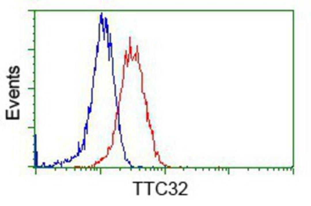 Flow Cytometry: TTC32 Antibody (1F7) [NBP2-02691] - Analysis of Jurkat cells, using anti-TTC32 antibody, (Red), compared to a nonspecific negative control antibody (Blue).