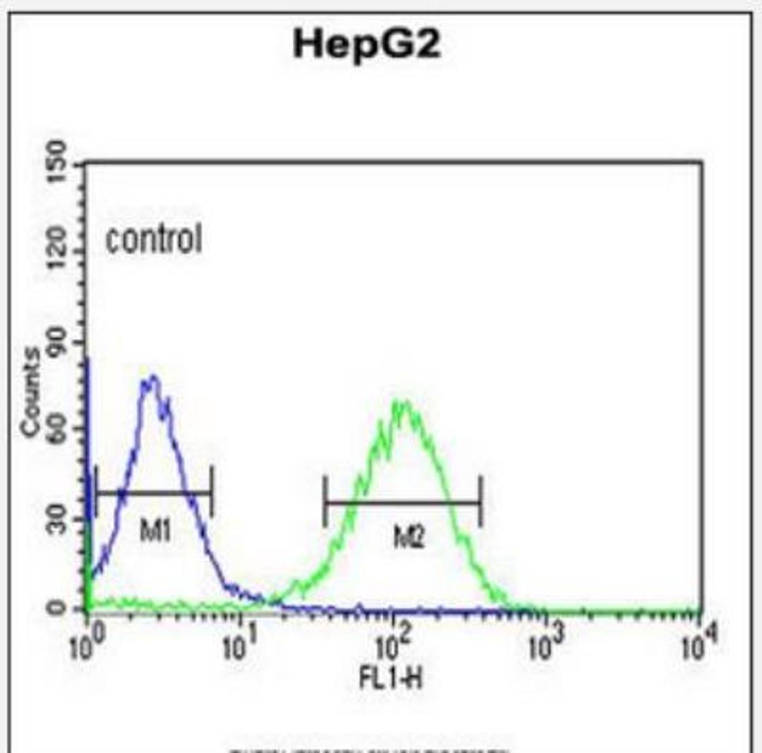 Flow Cytometry: ZNF202 Antibody [NBP2-29952] - Flow cytometric analysis of HepG2 cells (right histogram) compared to a negative control cell (left histogram).FITC-conjugated goat-anti-rabbit secondary antibodies were used for the analysis.