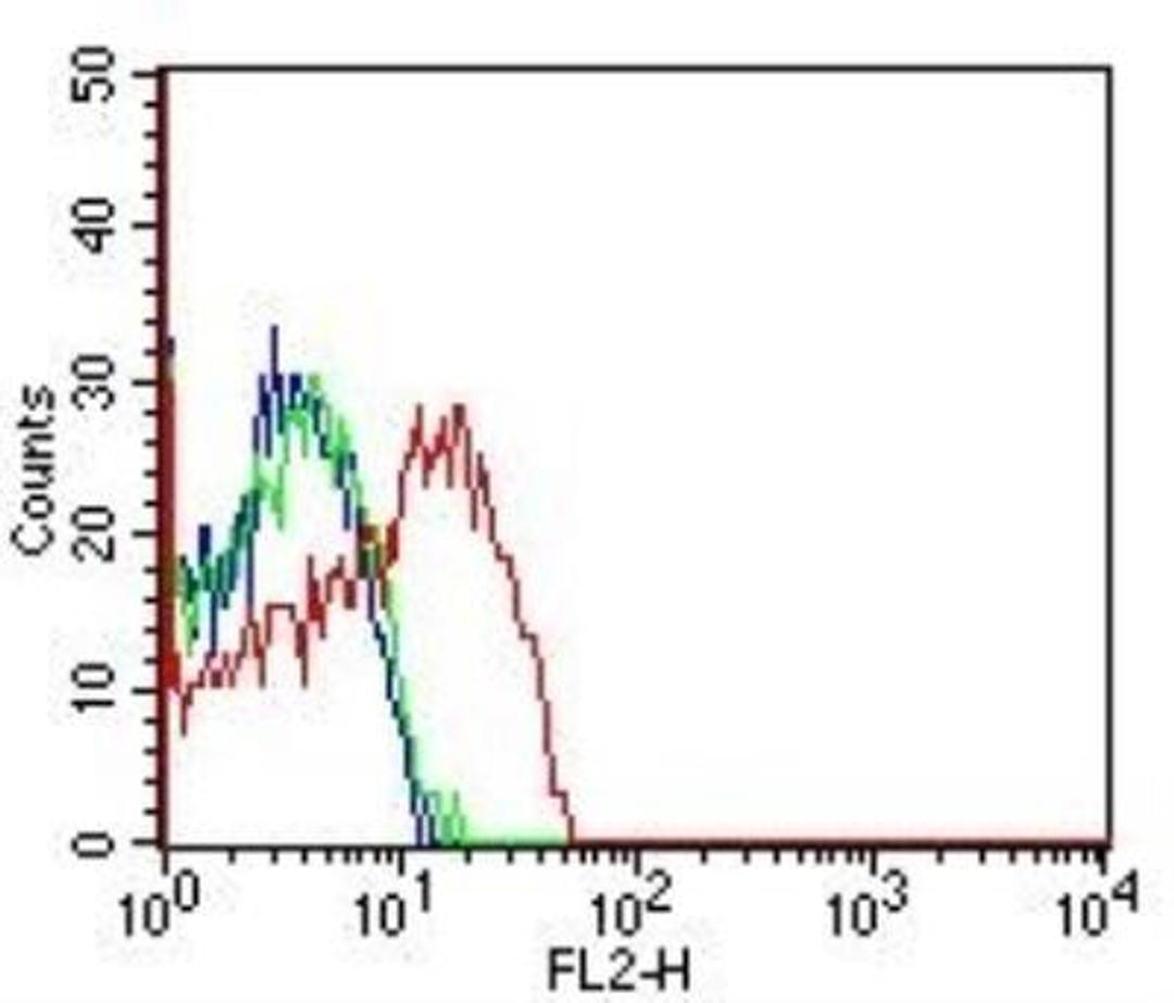 Flow (Cell Surface): CD98 Antibody (1C11.7E3) [NBP2-36491] - Flow cytometry analysis of human CD98 in hPBMC. Primary antibody was used at 2.5 ug / million cells. Goat anti-mouse IgG (PE) was used at 0.5 ug / million cells. The red shift line represents the primary antibody, the blue line represents the cells alone and the green line represents the isotype control.