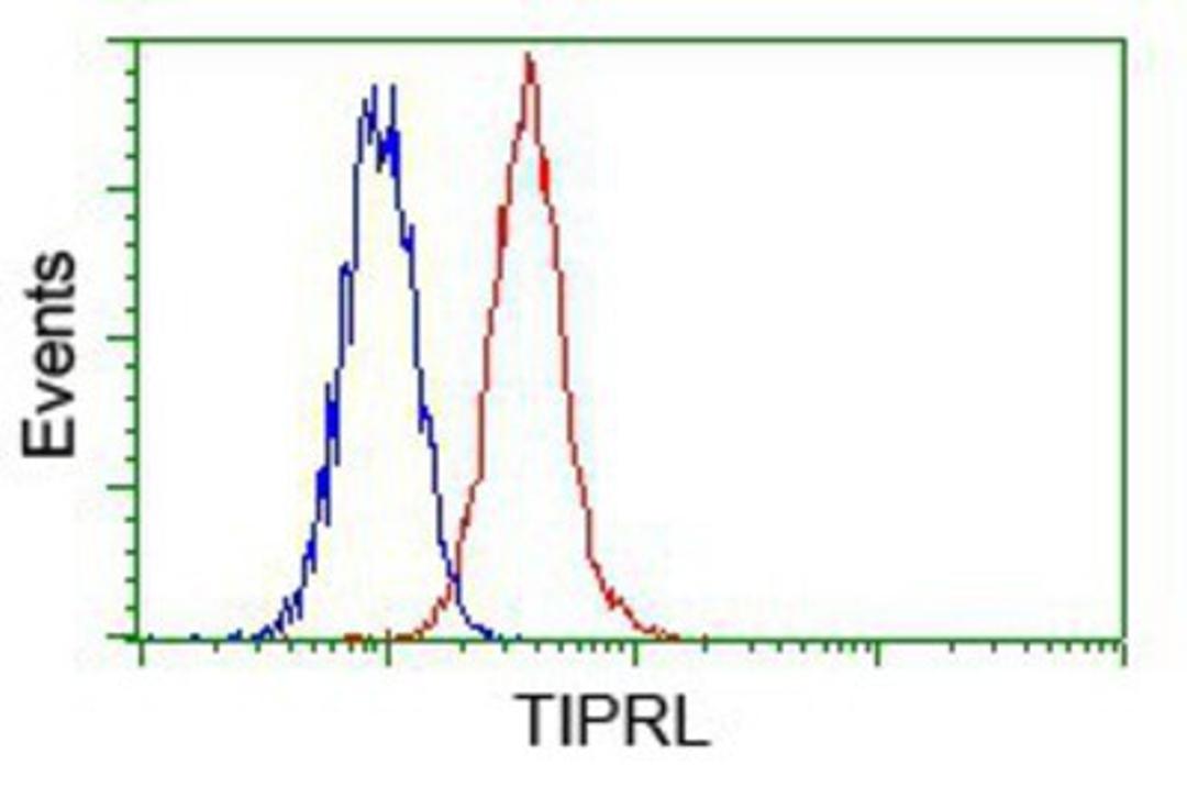 Flow Cytometry: TIPRL Antibody (3D11) [NBP2-02269] - Analysis of Hela cells, using anti-TIPRL antibody, (Red) compared to a nonspecific negative control antibody (Blue).