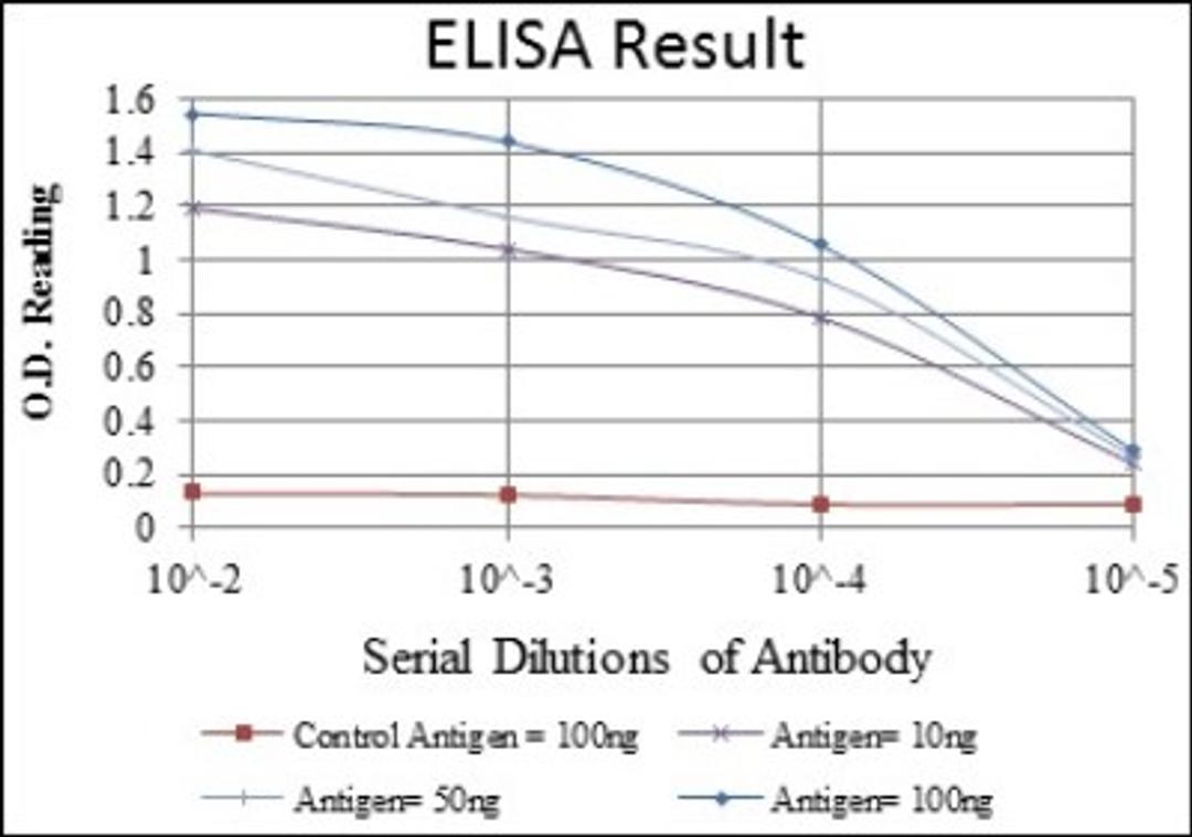 ELISA: NFkB p105/p50 Antibody (5D10D11) [NBP2-22178] - Red: Control Antigen (100ng); Purple: Antigen (10ng); Green: Antigen (50ng); Blue: Antigen (100ng)