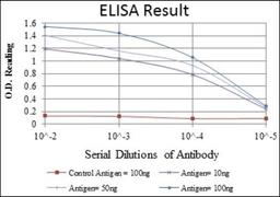 ELISA: NFkB p105/p50 Antibody (5D10D11) [NBP2-22178] - Red: Control Antigen (100ng); Purple: Antigen (10ng); Green: Antigen (50ng); Blue: Antigen (100ng)