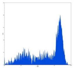 Flow cytometric analysis of human peripheral blood lymphocytes using CD45RA antibody (PE)