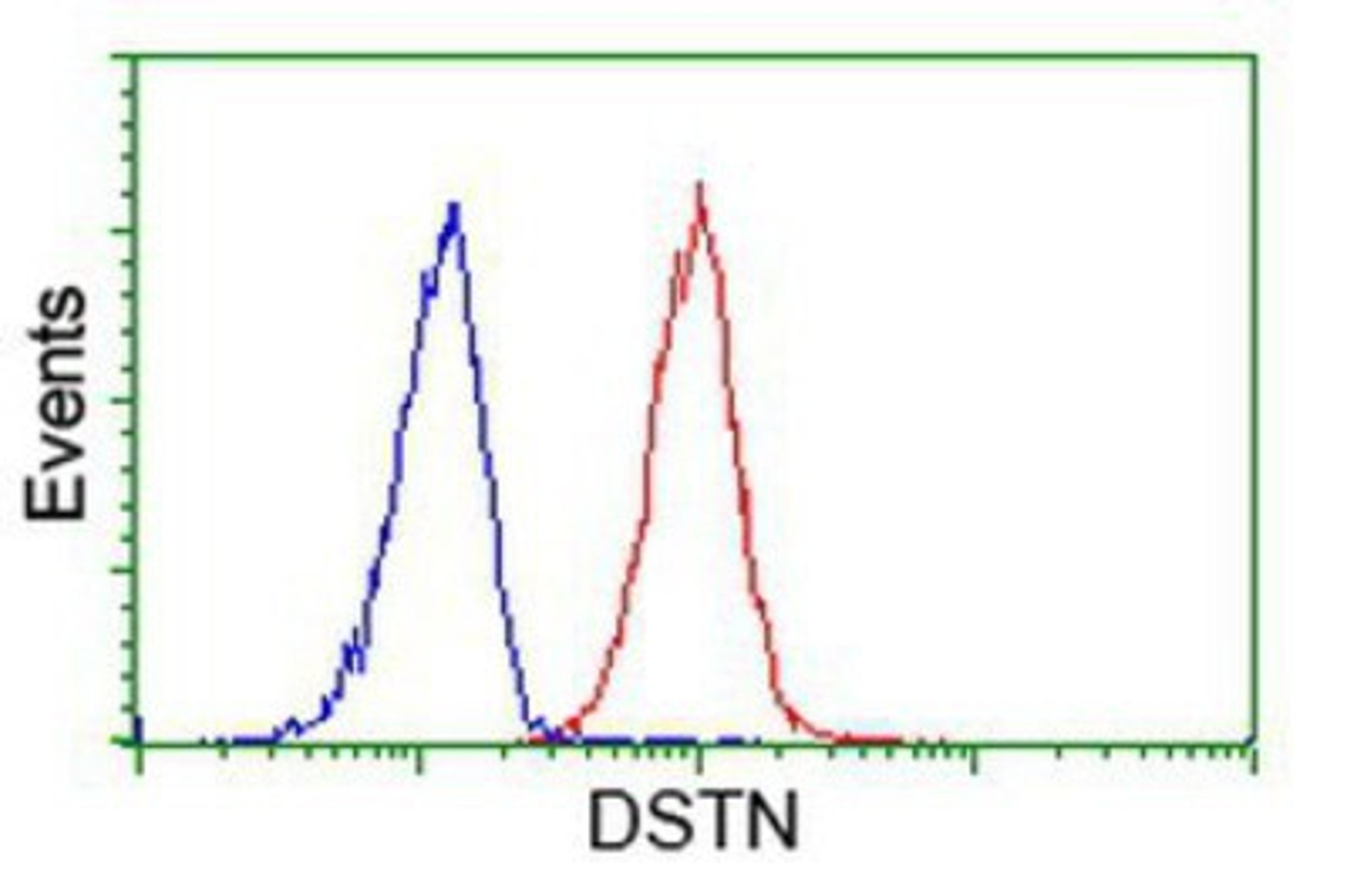 Flow Cytometry: Destrin Antibody (2F7) [NBP2-00527] - Analysis of Hela cells, using anti-Destrin antibody, (Red), compared to a nonspecific negative control antibody (Blue).