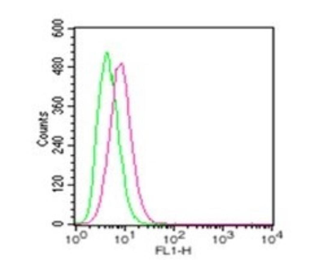 Flow Cytometry: TLR4 Antibody [NBP2-24821] - Analysis using the Alexa Fluor (R) 488 conjugate of NBP2-24821. Staining of RAW cells were probed using 2 ug of TLR4 antibody (red) and 2 ug of isotype control antibody (20304AF488, green). Novus's TLR cell surface flow kit (10099K) was used for this test.