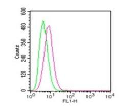 Flow Cytometry: TLR4 Antibody [NBP2-24821] - Analysis using the Alexa Fluor (R) 488 conjugate of NBP2-24821. Staining of RAW cells were probed using 2 ug of TLR4 antibody (red) and 2 ug of isotype control antibody (20304AF488, green). Novus's TLR cell surface flow kit (10099K) was used for this test.