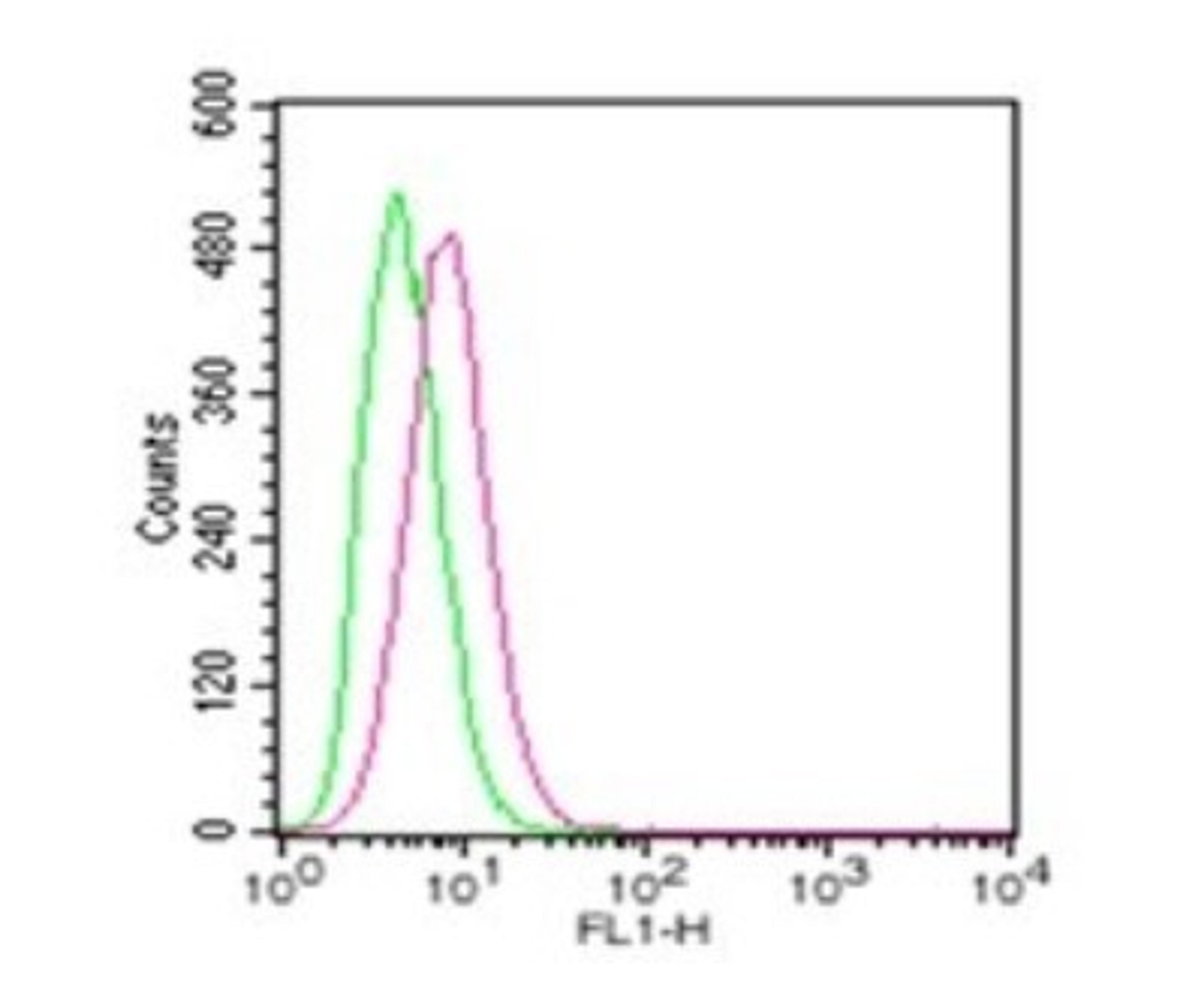 Flow Cytometry: TLR4 Antibody [NBP2-24821] - Analysis using the Alexa Fluor (R) 488 conjugate of NBP2-24821. Staining of RAW cells were probed using 2 ug of TLR4 antibody (red) and 2 ug of isotype control antibody (20304AF488, green). Novus's TLR cell surface flow kit (10099K) was used for this test.