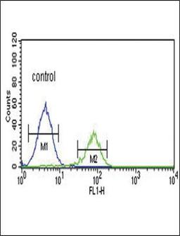 Flow Cytometry: Proprotein Convertase 2/PCSK2 Antibody [NBP2-30086] - Flow cytometric analysis of K562 cells (right histogram) compared to a negative control cell (left histogram).FITC-conjugated goat-anti-rabbit secondary antibodies were used for the analysis.