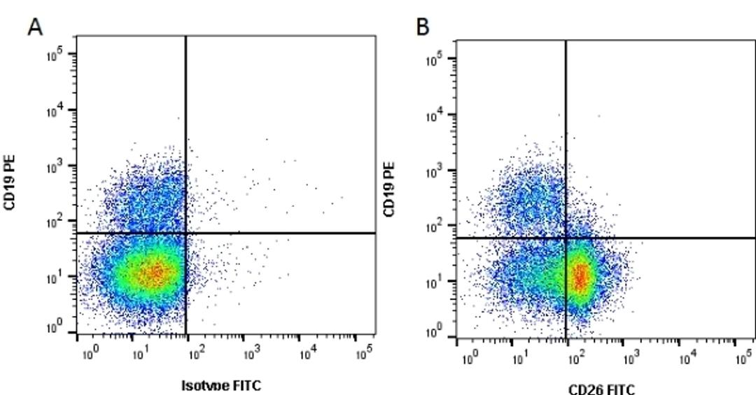 Figure A. mouse anti human CD19. Figure B. mouse anti human CD19 and mouse anti human CD26.