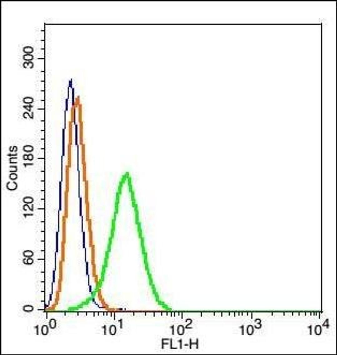 Flow cytometric analysis of Hepg2 Cells using IGSF9 antibody.