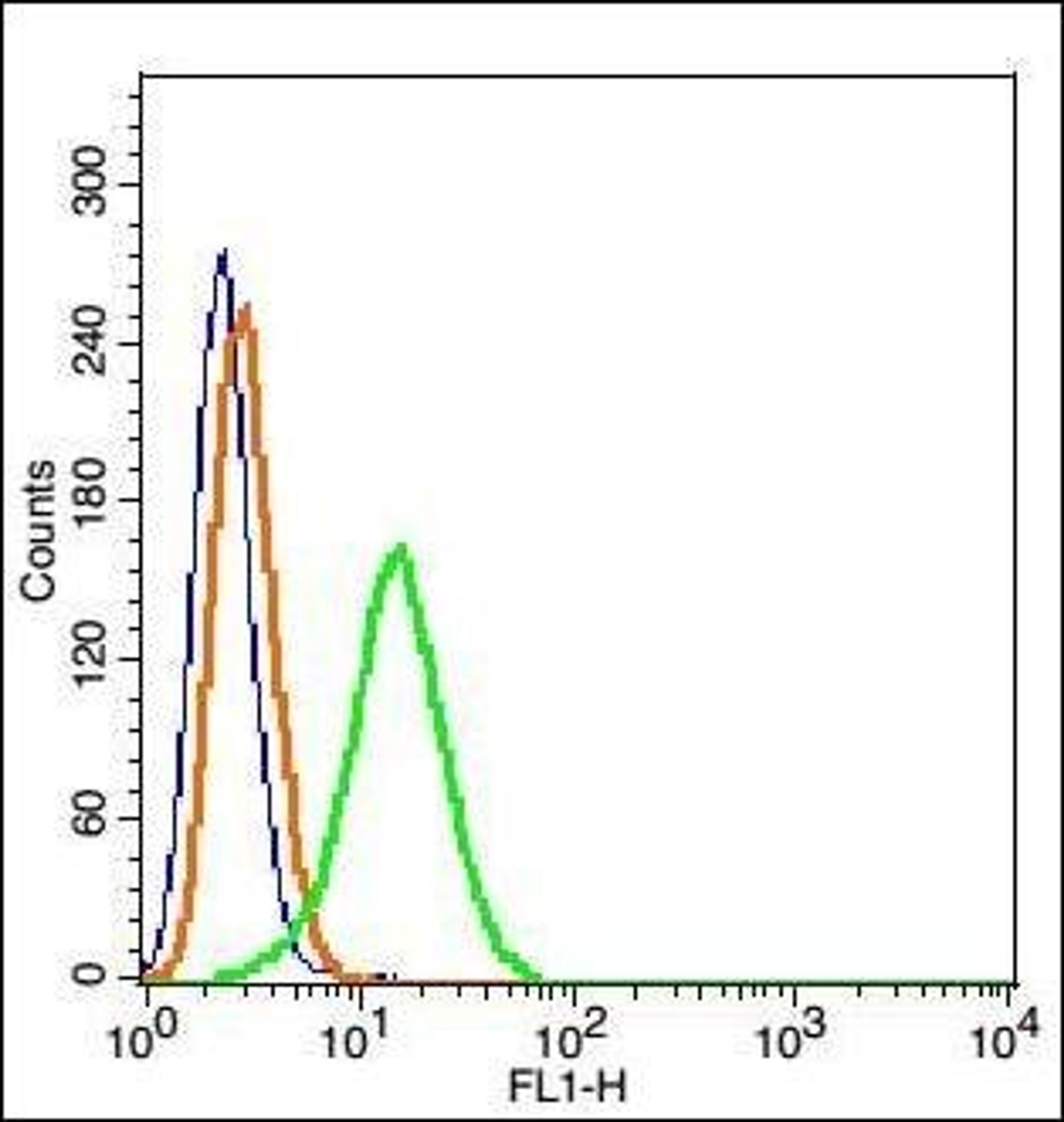 Flow cytometric analysis of Hepg2 Cells using IGSF9 antibody.