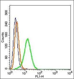 Flow cytometric analysis of Hepg2 Cells using IGSF9 antibody.