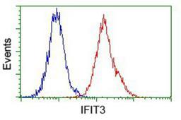 Flow Cytometry: IFIT3 Antibody (1G1) [NBP2-02148] - Analysis of Jurkat cells, using anti-IFIT3 antibody, (Red) compared to a nonspecific negative control antibody (Blue).