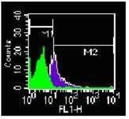 Flow Cytometry: TLR4 Antibody (HTA125) [NB100-56723] - Analysis of TLR4 using NB100-56723 on PBMCs at 2ug/ 1X10^6 cells. M1 gate are unstained PBMC.