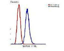 Flow cytometric analysis of HepG2 cells using GRP78 antibody