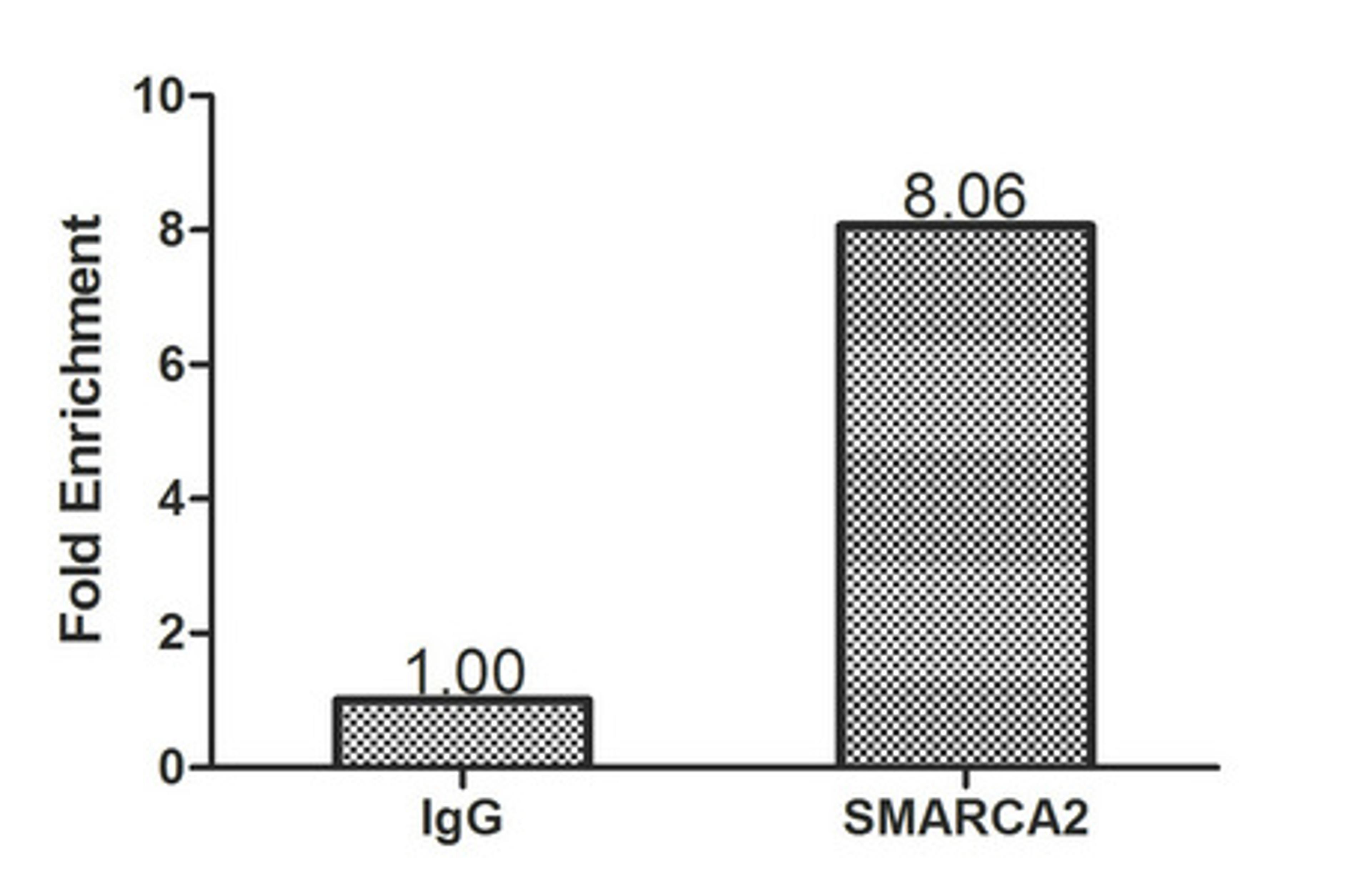 Chromatin Immunoprecipitation Hela (1.1*10<sup>6</sup>) were cross-linked with formaldehyde, sonicated, and immunoprecipitated with 4µg anti-SMARCA2 or a control normal rabbit IgG. The resulting ChIP DNA was quantified using real-time PCR with primers (CSB-PP021799HU) against the ESR1 pS2 promoter.