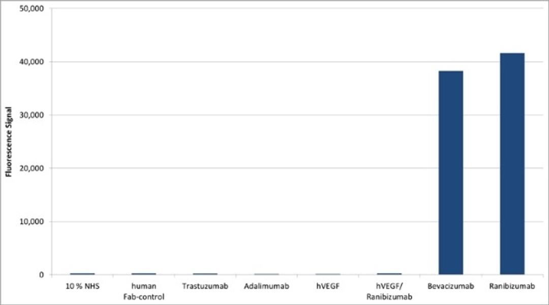 Ranibizumab bridging ELISA for Anti-Drug Antibody (ADA) assay development