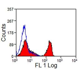 Horse peripheral blood lymphocytes stained with Mouse anti Horse CD4