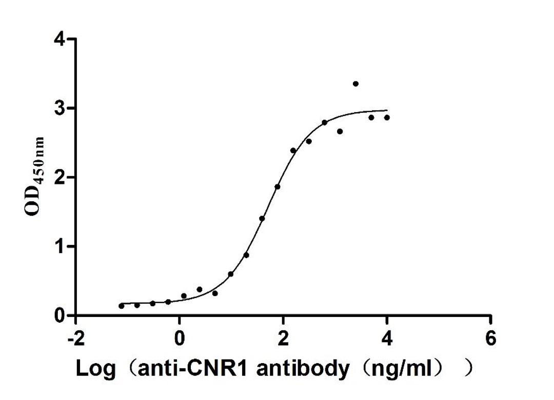 The Binding Activity of Huamn CNR1 with Anti-CNR1 recombinant Antibody. Activity: Measured by its binding ability in a functional ELISA. Immobilized Human CNR1(CSB-MP005678HU) at 10 μg/mL can bind Anti-CNR1 recombinant antibody, the EC<sub>50</sub> is 41.72-63.54 ng/mL.