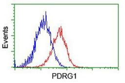 Flow Cytometry: PDRG1 Antibody (4F12) [NBP2-01854] - Analysis of Hela cells, using anti-PDRG1 antibody, (Red), compared to a nonspecific negative control antibody (Blue).