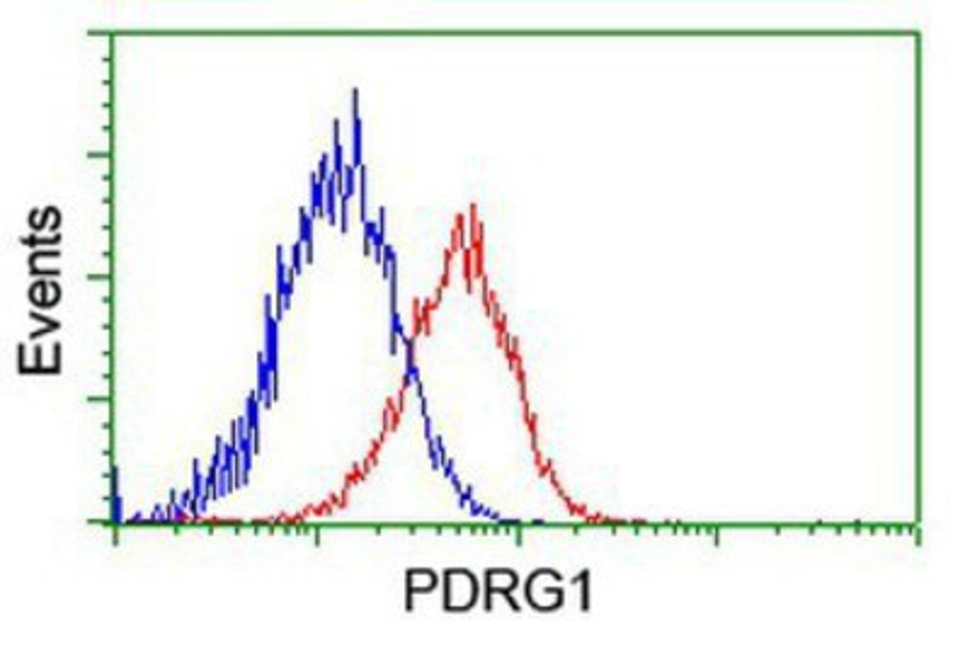 Flow Cytometry: PDRG1 Antibody (4F12) [NBP2-01854] - Analysis of Hela cells, using anti-PDRG1 antibody, (Red), compared to a nonspecific negative control antibody (Blue).