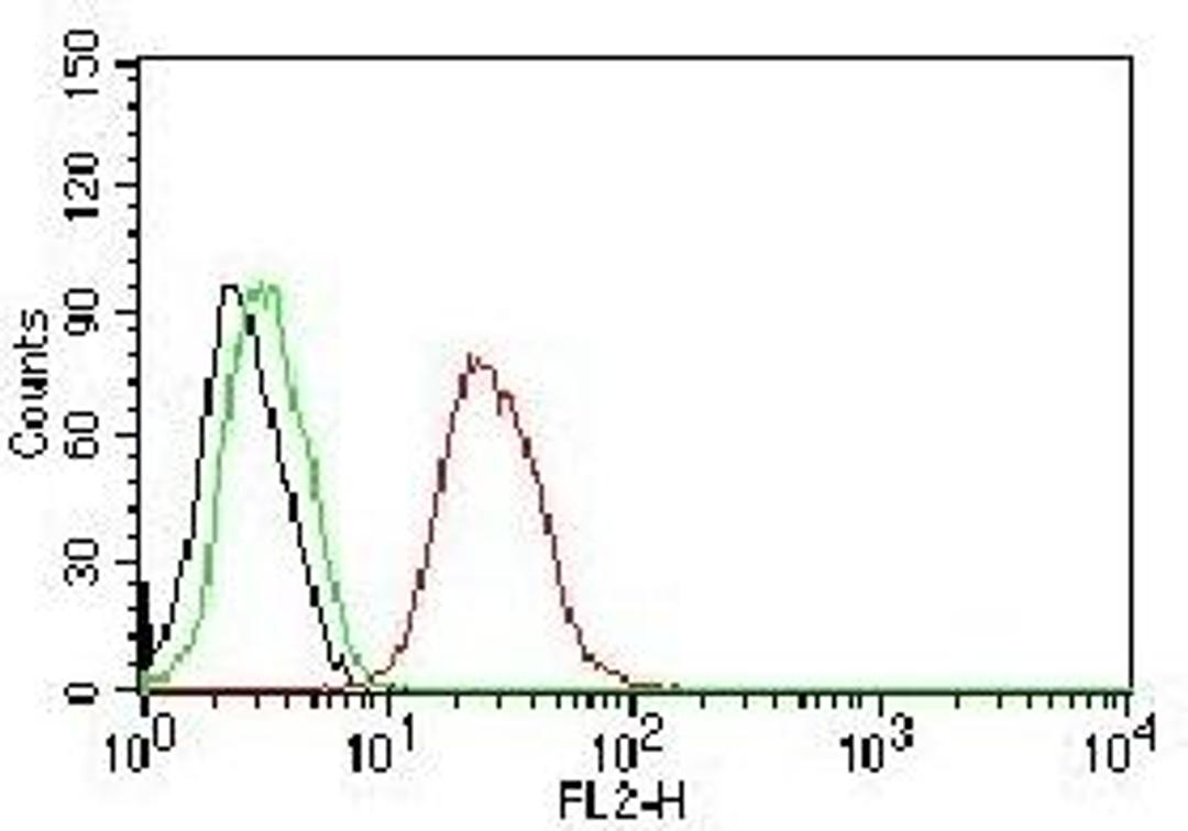 Flow cytometric analysis of MCF-7 cells using Estrogen Receptor beta antibody