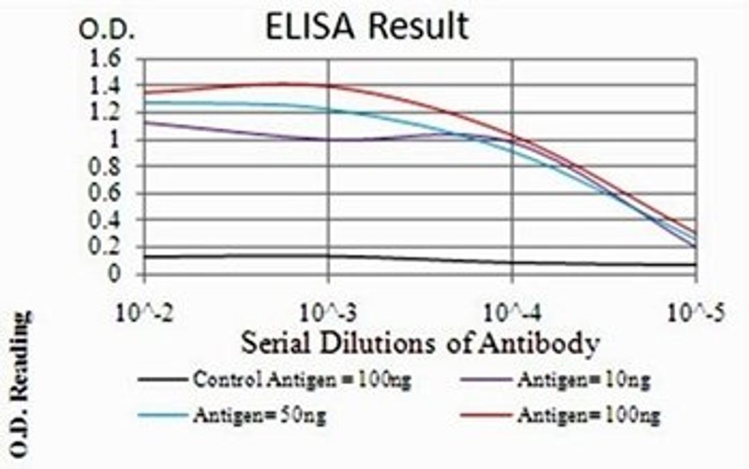 ELISA Black line: Control Antigen (100 ng); Purple line: Antigen(10ng); Blue line: Antigen (50 ng); Red line: Antigen (100 ng)