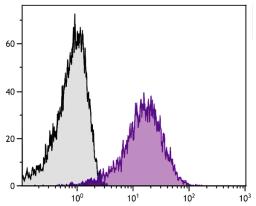 Human platelets were stained with Mouse Anti-Human CD36-FITC (Cat. No. 99-515).