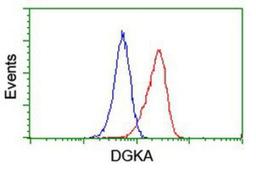 Flow Cytometry: DGKA Antibody (4A11) [NBP2-01597] - Analysis of Jurkat cells, using anti-DGKA antibody, (Red), compared to a nonspecific negative control antibody (Blue).