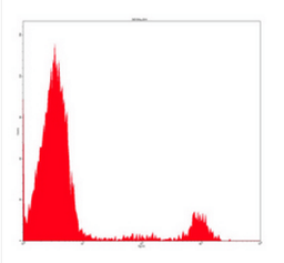 Flow cytometric analysis of human peripheral blood lymphocytes using CD20 antibody (FITC)