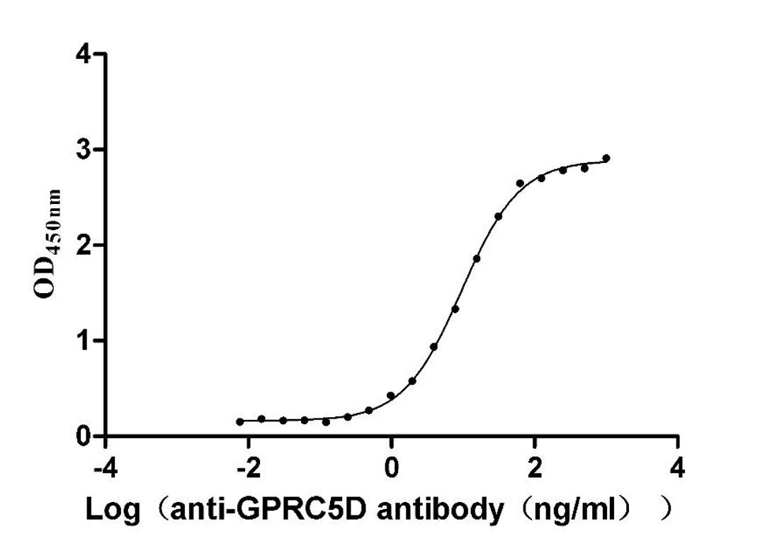 The Binding Activity of Huamn GPRC5D with Anti-GPRC5D recombinant Antibody. Activity: Measured by its binding ability in a functional ELISA. Immobilized Human GPRC5D(CSB-MP882153HU) at 5 μg/mL can bind Anti-GPRC5D recombinant antibody, the EC<sub>50</sub> is 8.847-10.38 ng/mL.