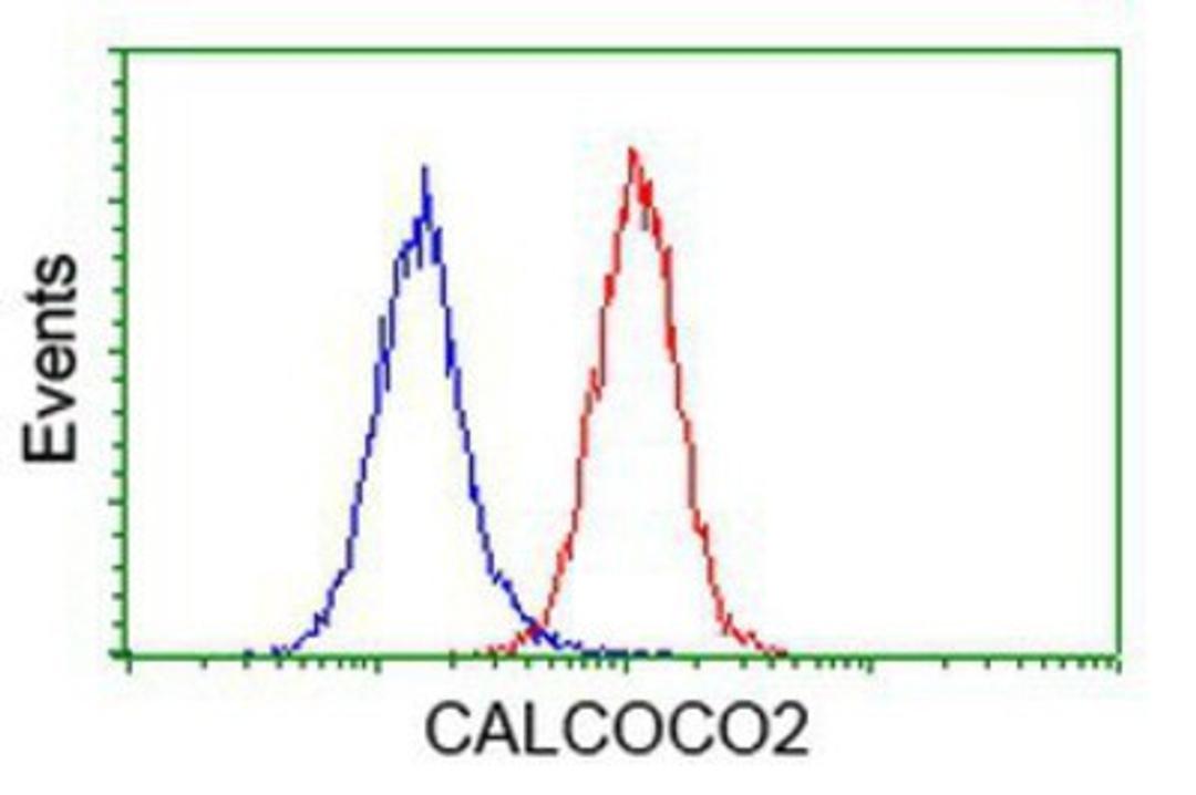 Flow Cytometry: NDP52 Antibody (4H5) [NBP2-03246] - Analysis of Hela cells, using anti-NDP52 antibody, (Red), compared to a nonspecific negative control antibody (Blue).