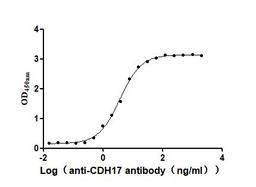 The Binding Activity of Human CDH17 with Anti-CDH17 Recombinant Antibody. Activity: Measured by its binding ability in a functional ELISA. Immobilized Human CDH17 (CSB-MP613267HU) at 2 μg/mL can bind Anti-CDH17 recombinant antibody, the EC<sub>50</sub> is 3.095-4.451 ng/mL.