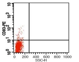 Flow cytometric analysis of human peripheral blood cells treated with PHA using CD83 antibody (PE)