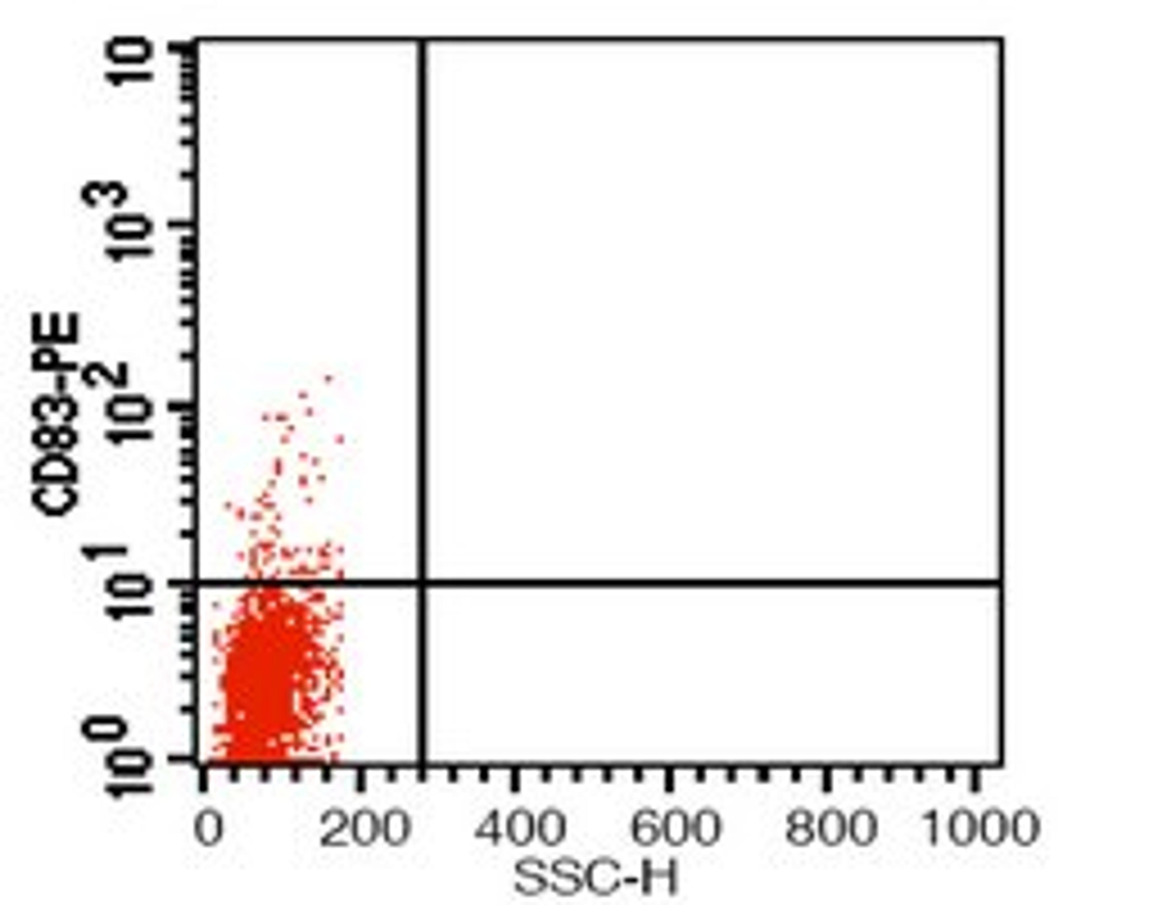 Flow cytometric analysis of human peripheral blood cells treated with PHA using CD83 antibody (PE)