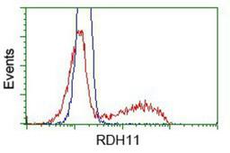 Flow Cytometry: RDH11 Antibody (1B4) [NBP2-02431] - HEK293T cells transfected with either pCMV6-ENTRY RDH11.(Red) or empty vector control plasmid (Blue) were immunostained with anti-RDH11 mouse monoclonal, and then analyzed by flow cytometry.