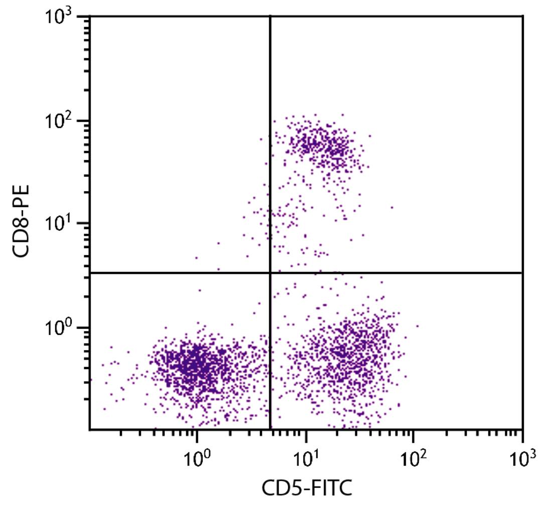 Feline peripheral blood lymphocytes were stained with Mouse Anti-Feline CD5-FITC (Cat. No. 99-190) and Mouse Anti-Feline CD8-PE .