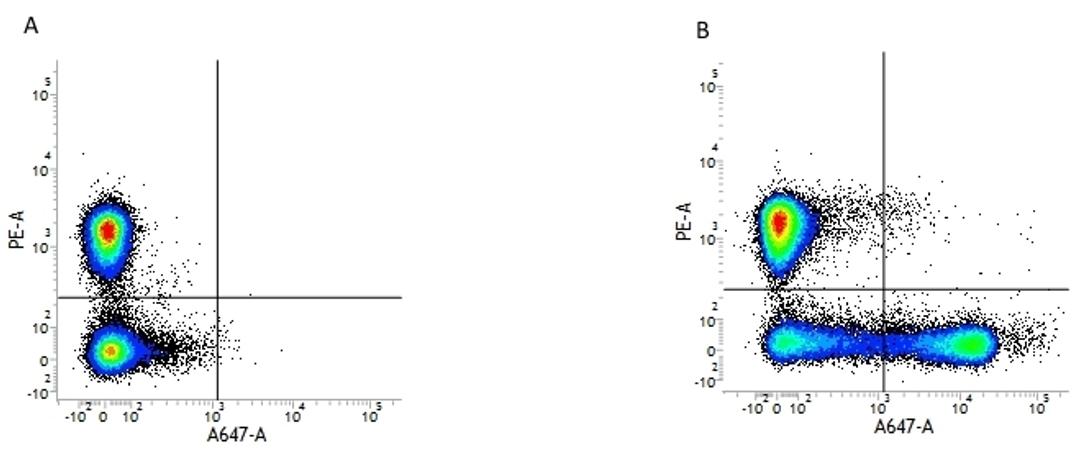 Figure A. mouse anti human CD3. Figure B. mouse anti human CD3 and mouse anti human CD16.
