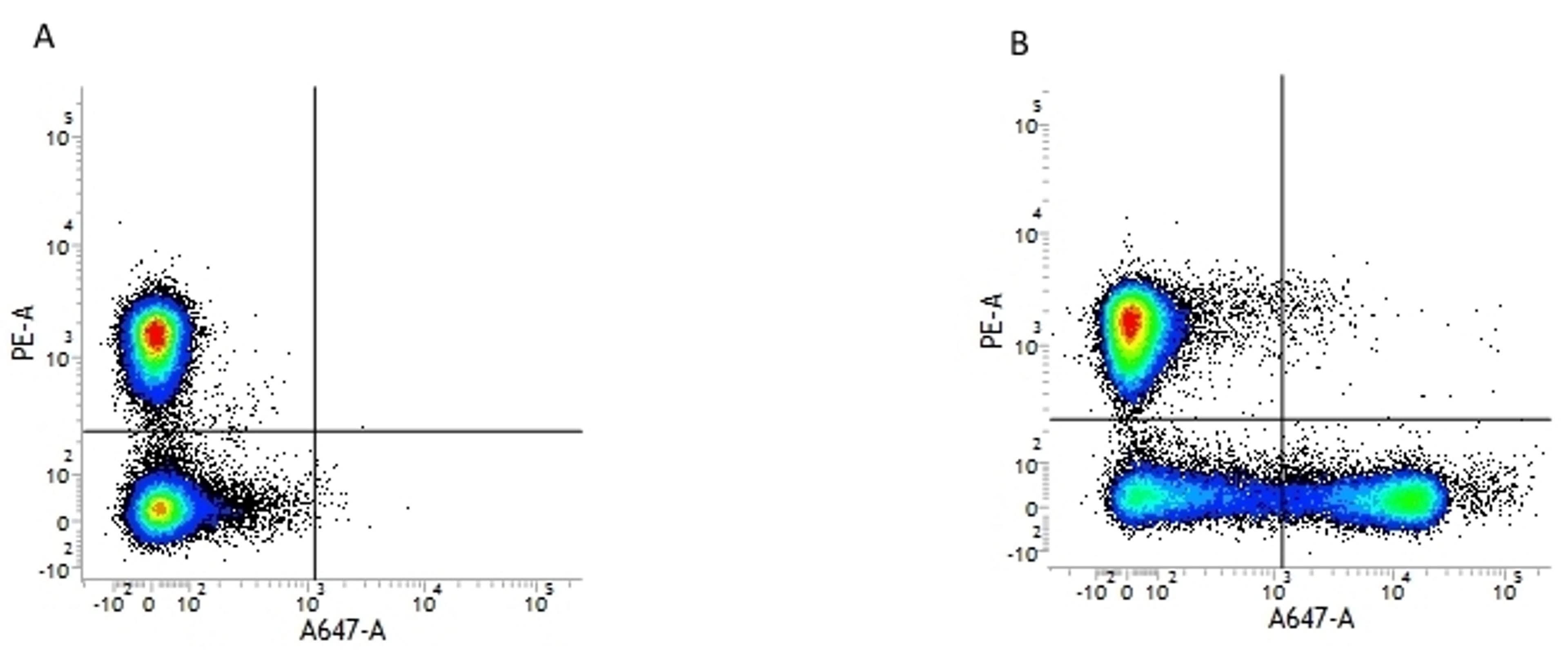 Figure A. mouse anti human CD3. Figure B. mouse anti human CD3 and mouse anti human CD16.