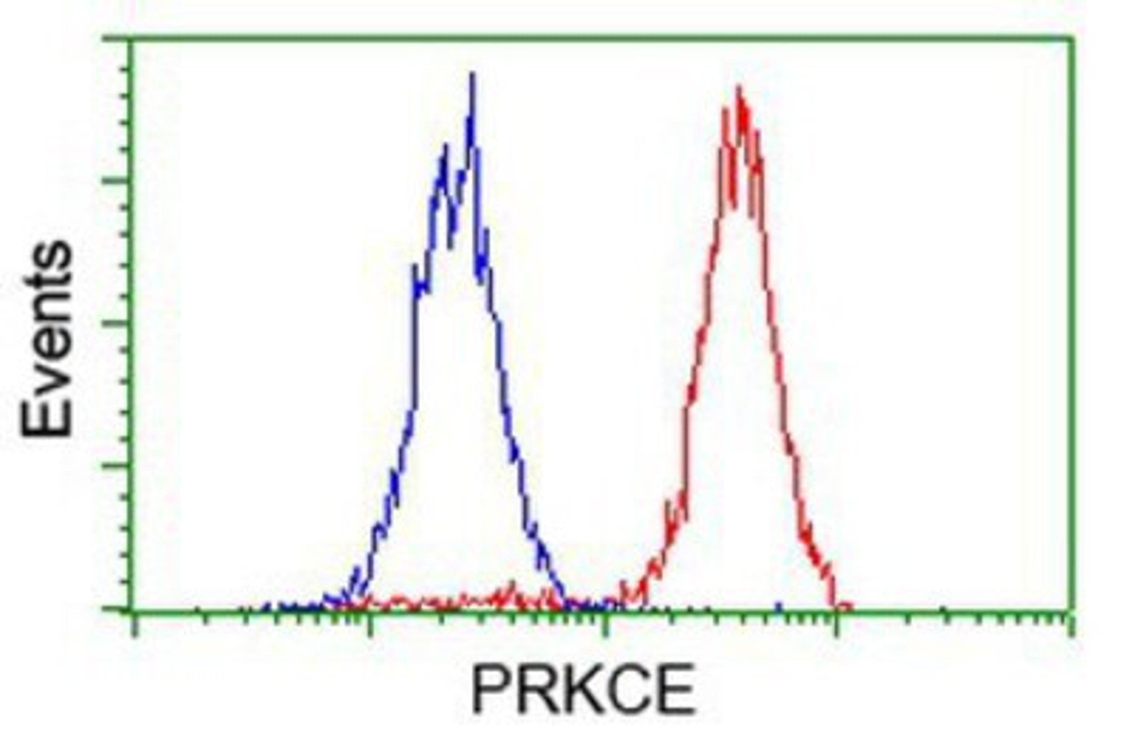 Flow Cytometry: PKC epsilon Antibody (4G8) [NBP2-03620] - Analysis of Hela cells, using anti-PKC epsilon antibody, (Red), compared to a nonspecific negative control antibody (Blue).