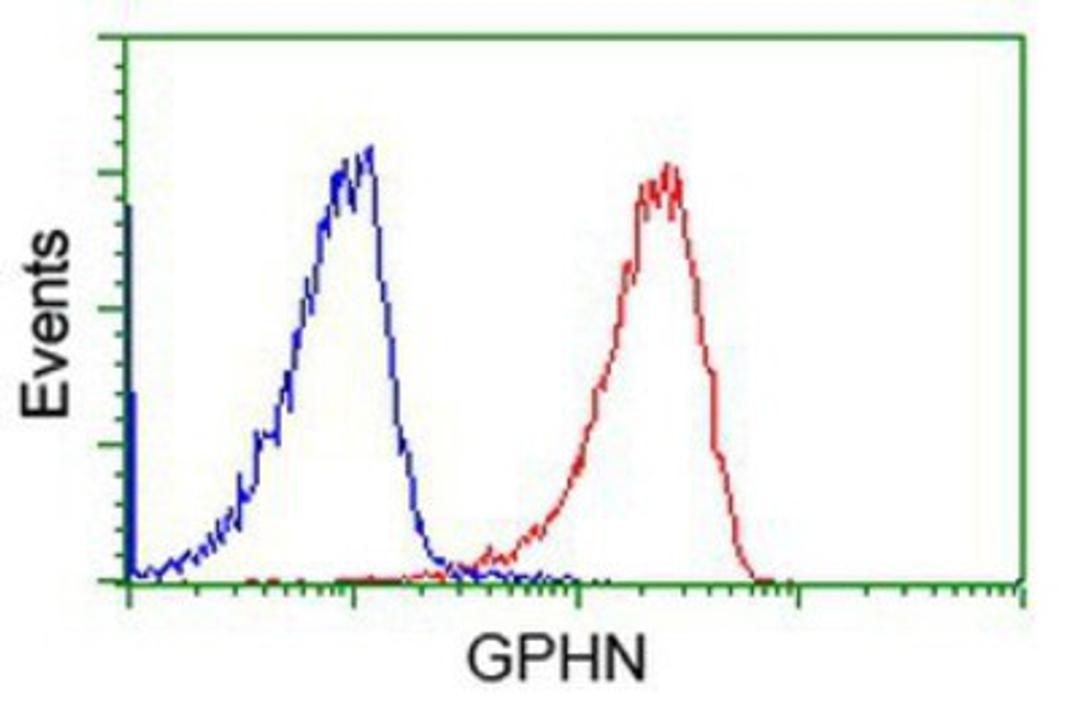 Flow Cytometry: Gephyrin Antibody (3B6) [NBP2-03449] - Analysis of Jurkat cells, using anti-Gephyrin antibody, (Red), compared to a nonspecific negative control antibody (Blue).