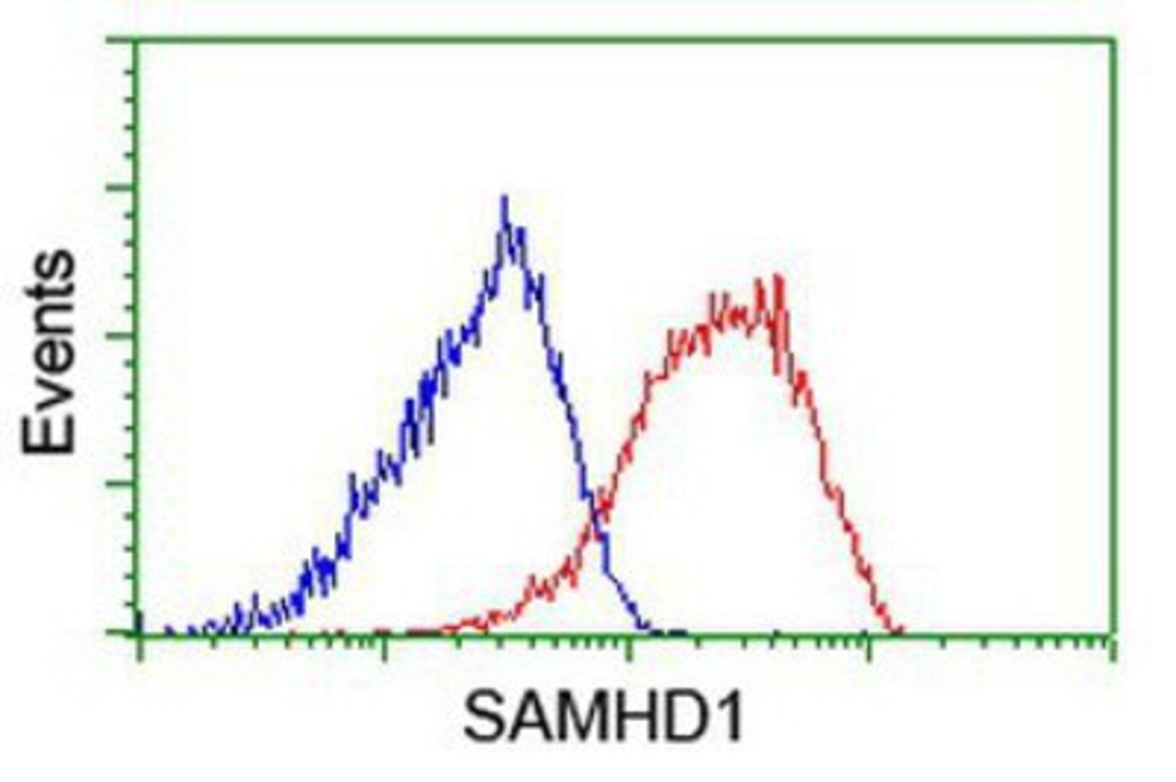 Flow Cytometry: SAMHD1 Antibody (3F5) [NBP2-03285] - Analysis of Hela cells, using anti-SAMHD1 antibody, (Red), compared to a nonspecific negative control antibody (Blue).