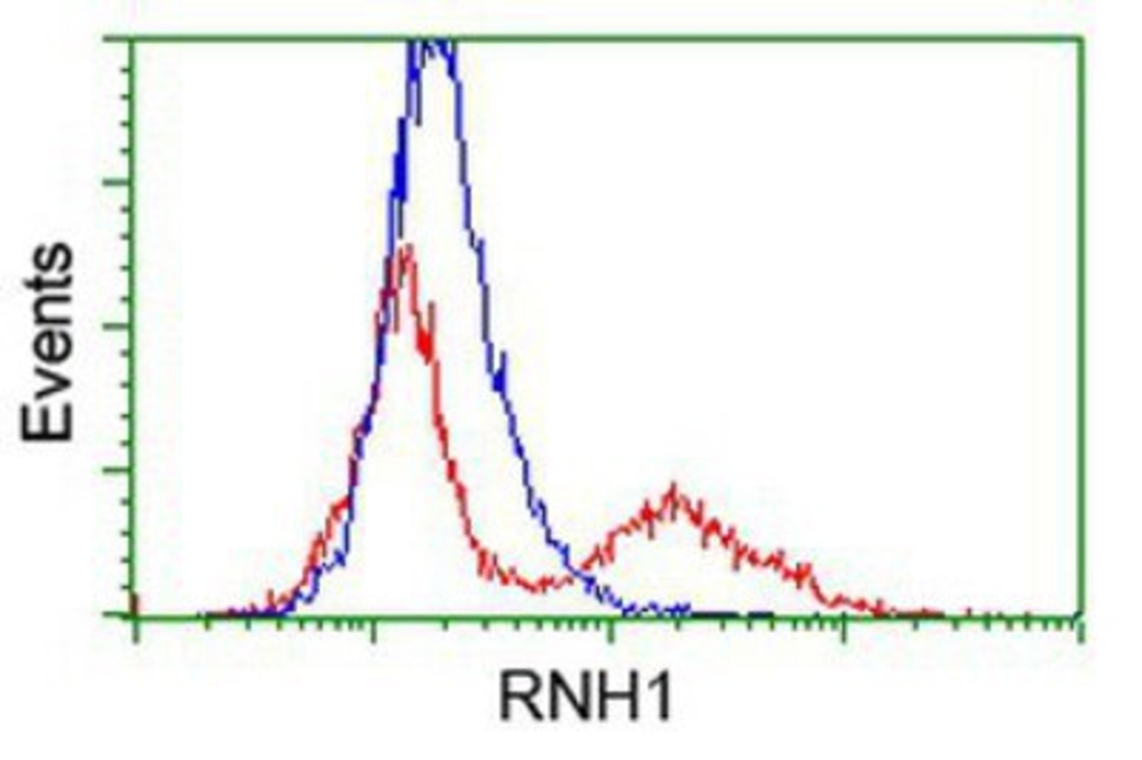 Flow Cytometry: Ribonuclease Inhibitor Antibody (1B7) [NBP2-03254] - HEK293T cells transfected with either overexpression plasmid (Red) or empty vector control plasmid (Blue) were immunostained by anti-Ribonuclease Inhibitor antibody, and then analyzed by flow cytometry.