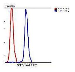 Flow cytometric analysis of Hela cells using STAT6 antibody